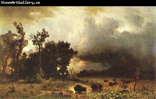 Albert Bierstadt Buffalo Trail